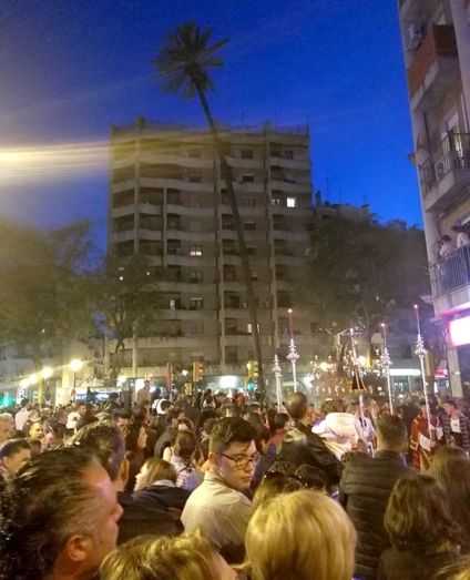 El runrún: ¿Es segura la Palmera?