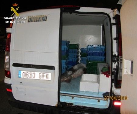 Le intervienen 30 kilos de corvina que no había pasado por el control de la lonja de Punta Umbría