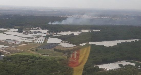 Declarado un incendio forestal en Bonares