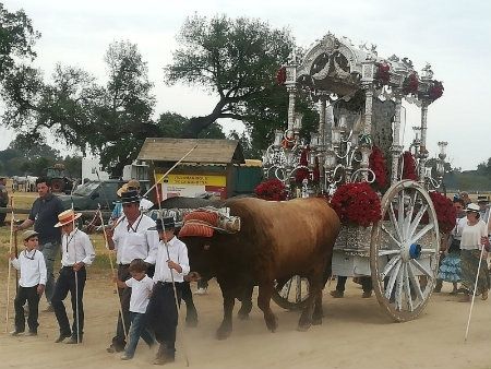 Trasladan en helicóptero al Virgen Macarena de Sevilla a un varón que sufrió signos de infarto cuando regresaba con su hermandad desde El Rocío