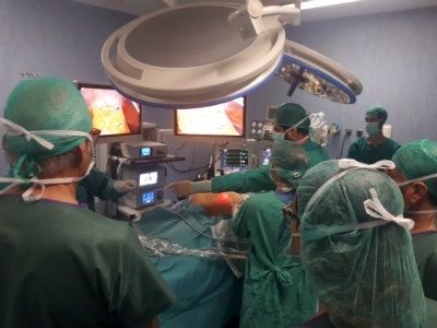 Cirujanos de pared abdominal de Andalucía aprenden nuevas técnicas en el Hospital Infanta Elena