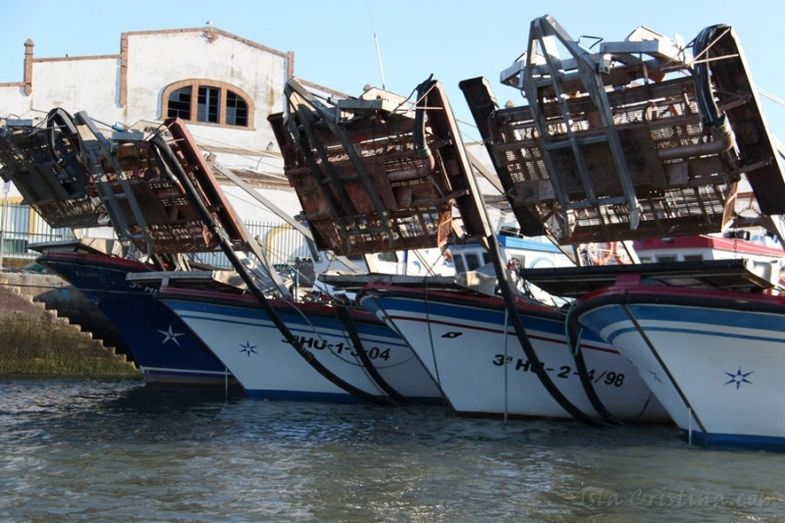 El pleno de Isla Cristina exige 'la inmediata reapertura' del caladero de la chirla
