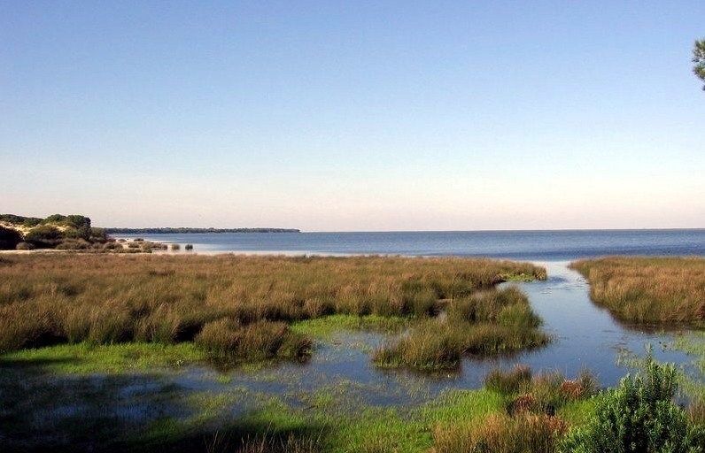 El CSIC señala a Doñana y al Teide como los más amenazados de la Red de Parques Nacionales de España