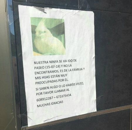 El runrún: ¿Irá Mendoza a la puja con otro grupo?