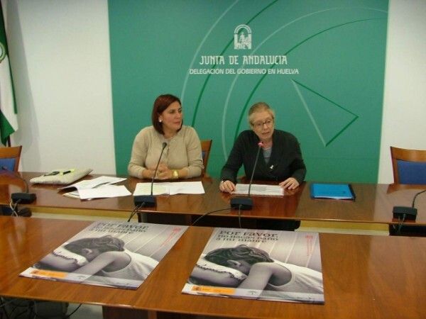 Un total de 77 mujeres víctimas de violencia de género han sido acogidas en casas tuteladas en Huelva en lo que va de 2011