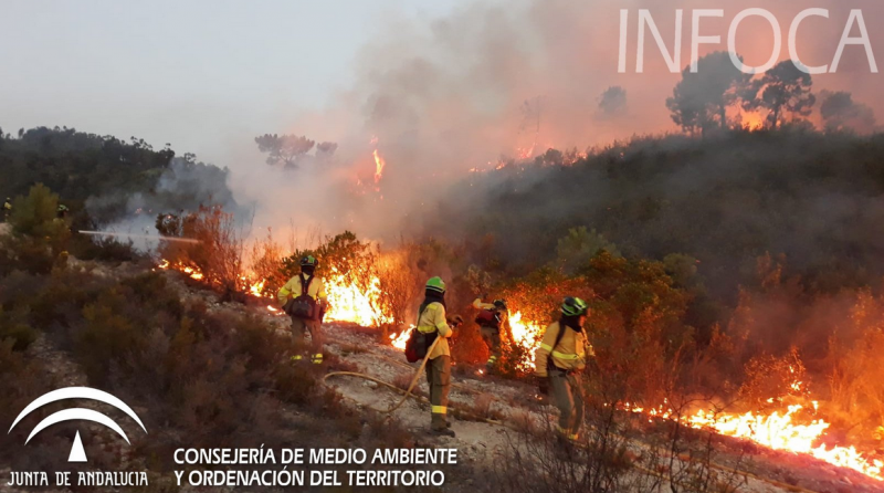 Dan por estabilizado el incendio de Nerva