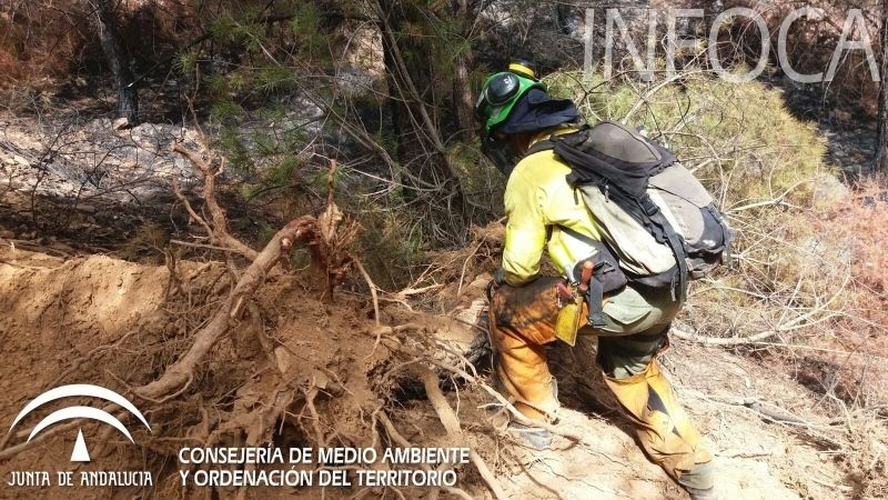 Una reproducción en el perímetro precisa cinco medios aéreos cuando ya se habían retirado de Almonaster