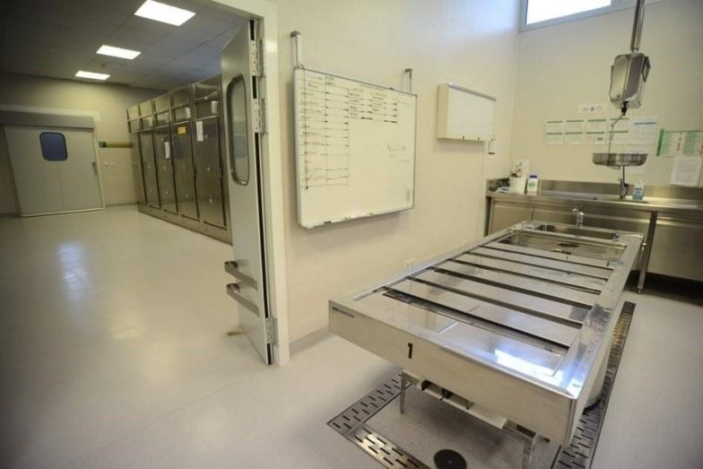 El Instituto de Medicina Legal examina, a petición de los juzgados, a 3.500 personas en el primer semestre