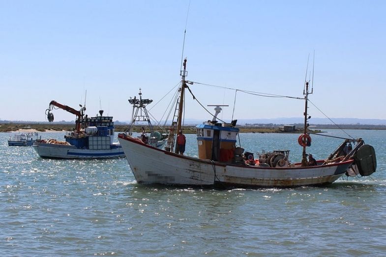 La Junta decide abrir el caladero de la chirla el 1 de octubre y pide al sector 'responsabilidad' para su conservación