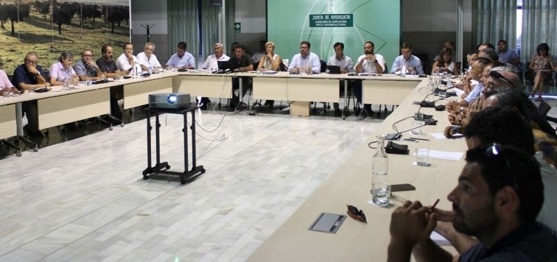 La Junta decide abrir el caladero de la chirla el 1 de octubre y pide al sector 'responsabilidad' para su conservación