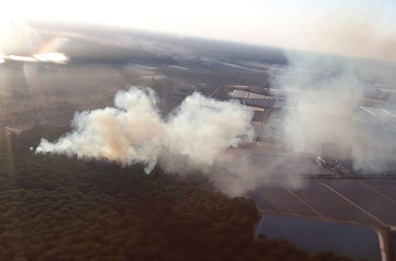Controlado el incendio forestal declarado en un paraje de Almonte