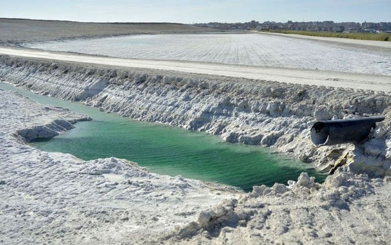 WWF insta al Estado a declarar contaminados los suelos de la capital y regenerar la zona de fosfoyesos