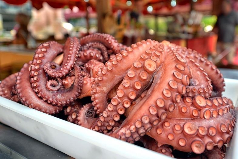 Armadores del Pulpo exigen a la Junta una reunión y pide soluciones a su situación