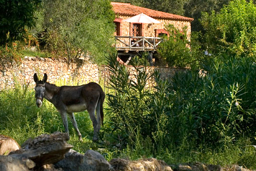 Huelva encabezará el ranking nacional de ocupación de casas rurales en el puente de la Inmaculada