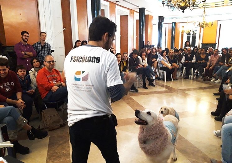 Cientos de personas participan en la Muestra de la Psicología de Huelva