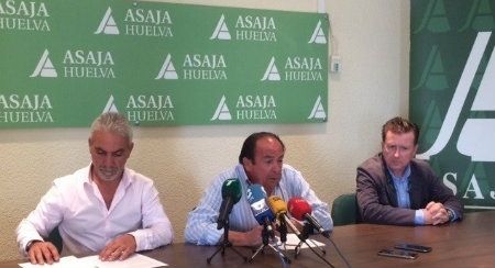 Asaja tilda de 'falsas' las afirmaciones de UGT sobre el convenio del campo, que 'no conculca derecho alguno'
