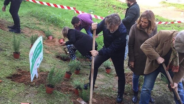 El PSOE pondrá en marcha un nuevo Plan Forestal Andaluz que primará las especies autóctonas