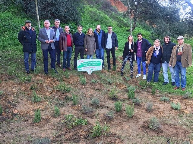 El PSOE pondrá en marcha un nuevo Plan Forestal Andaluz que primará las especies autóctonas