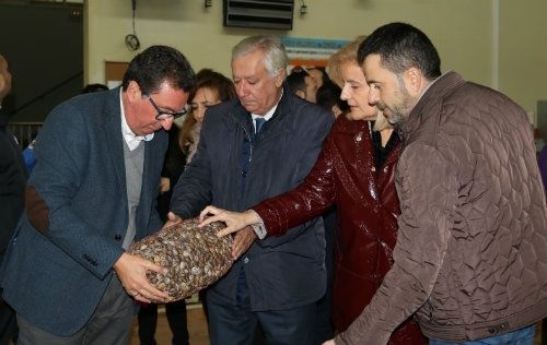 El PP muestra su 'total apoyo' al sector de la chirla