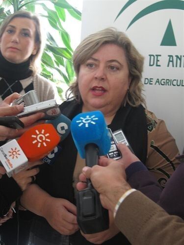 La Junta ofrece al sector de la chirla permisos temporales para coger otros moluscos pero no bajará la talla