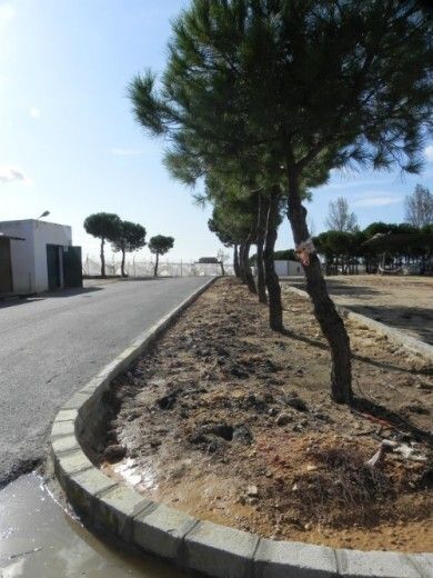 El Ayuntamiento de Palos asfalta y acondiciona el R4