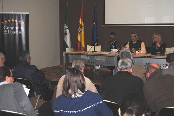 La nueva alcaldesa de Niebla toma posesión de su cargo en la Mancomunidad de Desarrollo Condado de Huelva