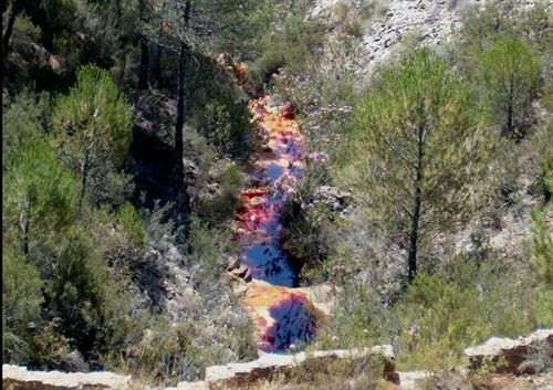 Expertos descubren en el Tinto 30 nuevos genes para su uso en procesos descontaminantes