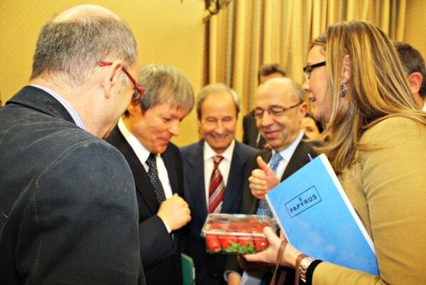 El PSOE muestra al Comisario Europeo la calidad de la fresa onubense para que la proteja ante el acuerdo con Marruecos