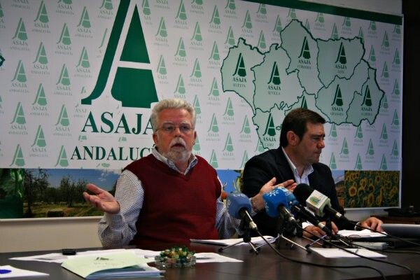 Asaja solicita la declaración de zona catastrófica para toda Andalucía