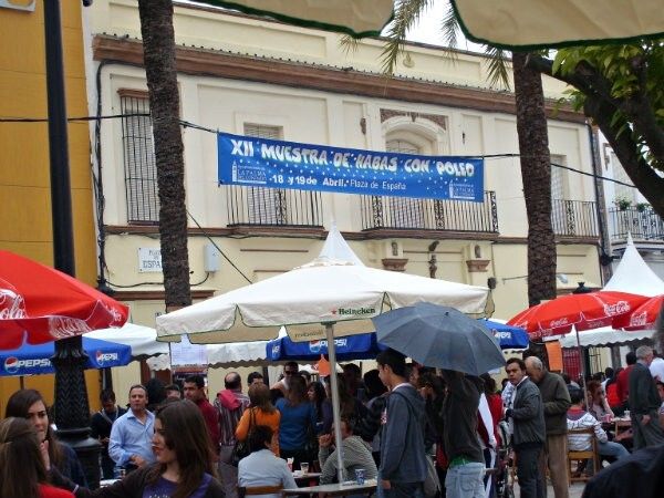 La Palma acogerá este fin de semana su tradicional muestra de habas con poleo