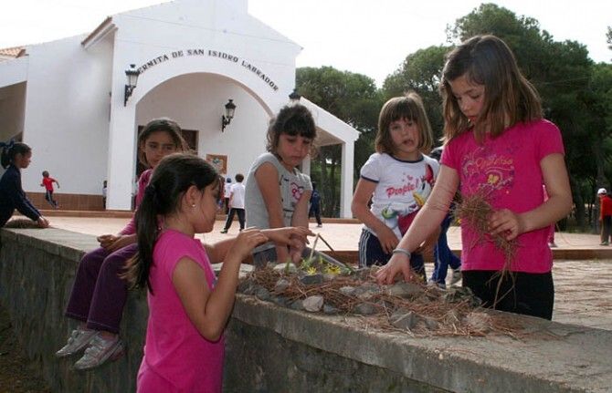 Jornada de convivencia en el pinar para 550 escolares de Primaria de Cartaya