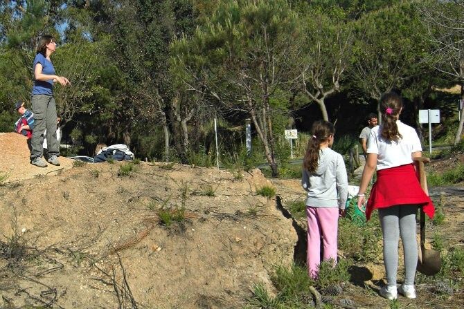Escolares del CEIP Las Gaviotas participan en la campaña de reforestación de pinos en Islantilla