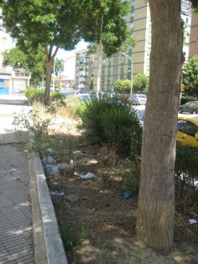 El PSOE lamenta que los vecinos de la Hispanidad tengan que ocuparse de la limpieza
