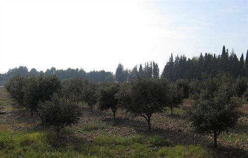 La provincia alcanza en 2011 un total de 188.666 hectáreas de agricultura ecológica