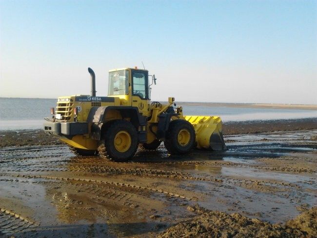 Ayamonte refuerza el operativo de retirada de algas