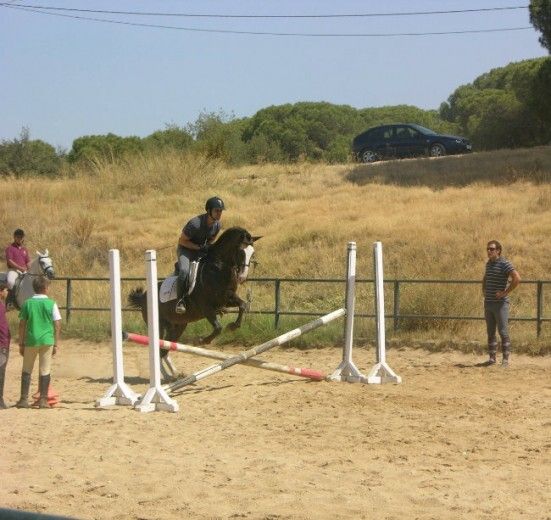 Moguer acogió con éxito un curso de salto de obstáculos con caballo