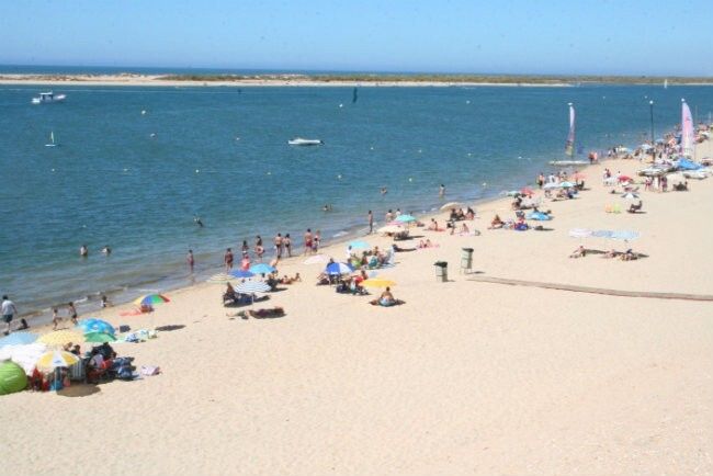 Cartaya retira hasta 90 toneladas de algas de la playa de Nuevo Portil
