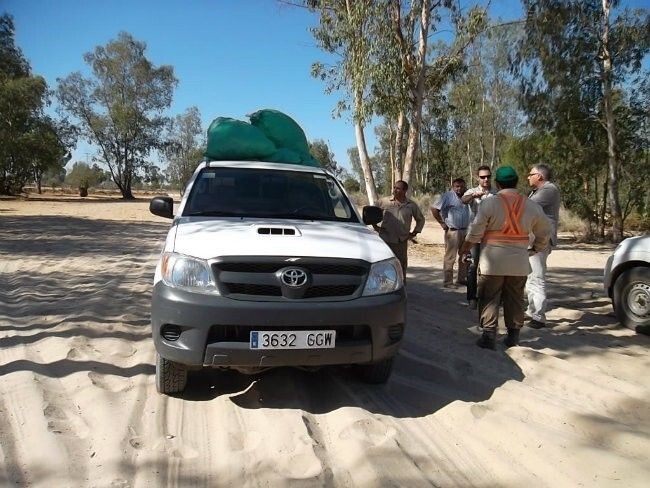 La Junta recoge 43.000 kilos generados en el traslado de la Virgen de El Rocío a Almonte