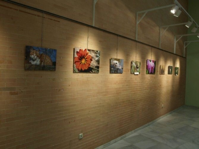 'Naturaleza Viva', una muestra llena de encanto en Bellavista