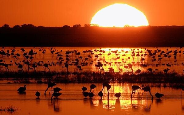 El runrún: ¿A Doñana?, mejor al Recre