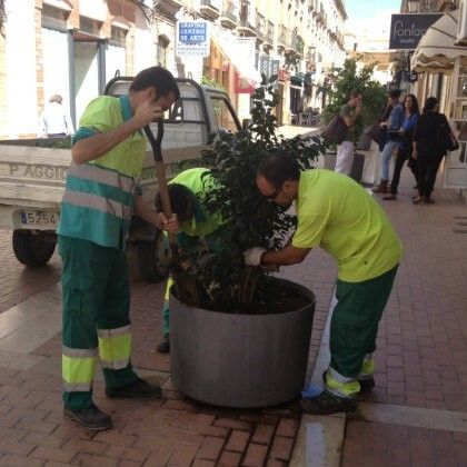 Renovación de maceteros en las calles del Centro
