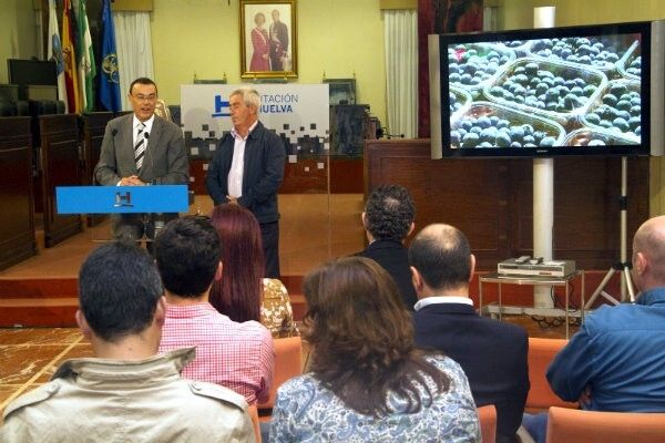 Siete empresas freseras mejorarán en Fruit Attraction sus canales de distribución internacional