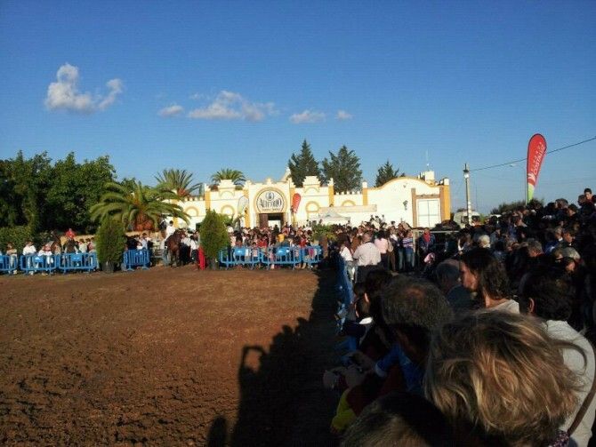 La primera Feria Ecuestre de Ayamonte registra más de 15.000 visitas