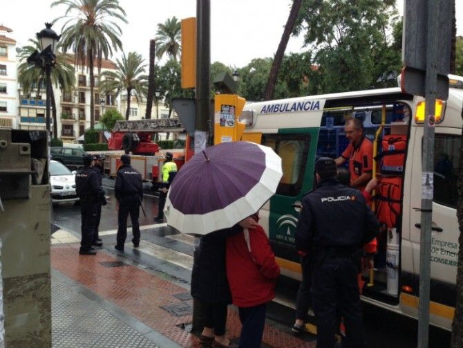 Una mujer resulta herida al caerle una palmera en plaza de La Merced