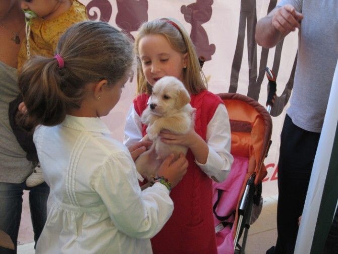 La Asociación Naturalia busca remover las conciencias en la IV Feria de Animales Abandonados y Maltratados
