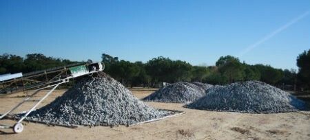Incautadas más de 50 toneladas de piña recogidas de forma ilegal