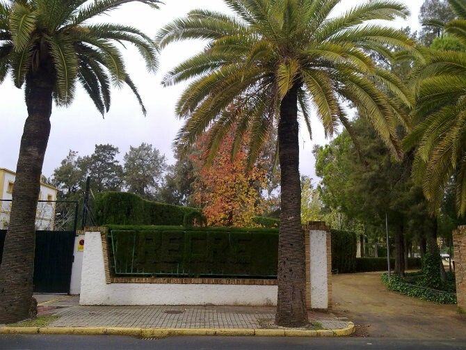 Homenaje ‘verde’ al Recreativo
