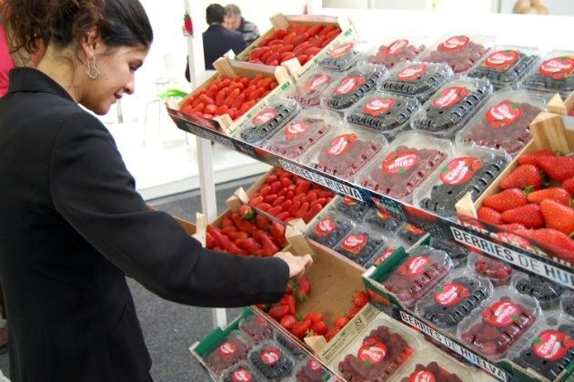 Cinco empresas del sector de los frutos rojos acuden a Fruit Logística Berlín