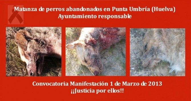 Manifestación el 1 de marzo ante el Ayuntamiento de Punta Umbría por las batidas contra perros