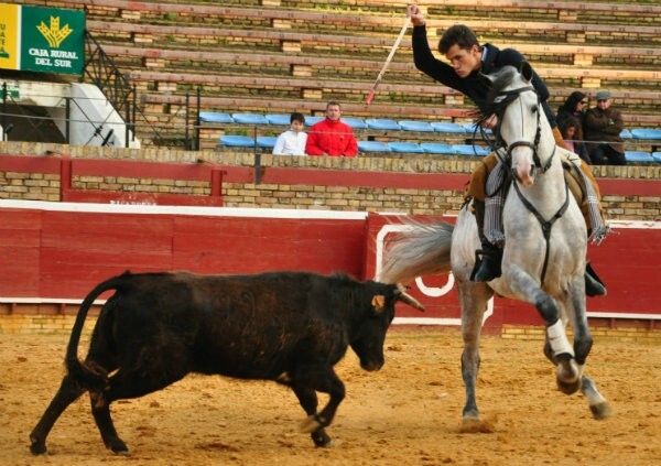 Tentadero de hembras en la plaza de La Merced